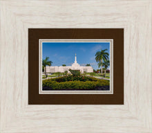 Load image into Gallery viewer, Mérida Mexico Garden Peace
