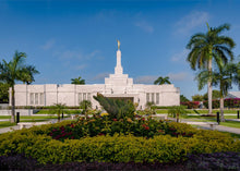 Load image into Gallery viewer, Mérida Mexico Garden Peace
