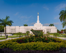 Load image into Gallery viewer, Mérida Mexico Garden Peace
