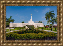 Load image into Gallery viewer, Mérida Mexico Garden Peace
