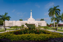 Load image into Gallery viewer, Mérida Mexico Garden Peace
