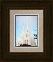 Load image into Gallery viewer, San Diego California Magenta Views
