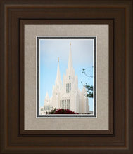 Load image into Gallery viewer, San Diego California Magenta Views
