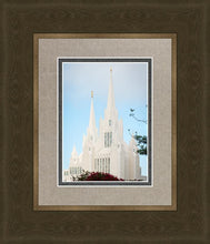 Load image into Gallery viewer, San Diego California Magenta Views
