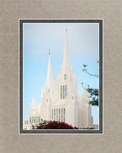 Load image into Gallery viewer, San Diego California Magenta Views
