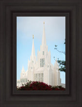 Load image into Gallery viewer, San Diego California Magenta Views
