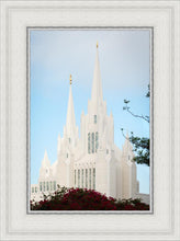Load image into Gallery viewer, San Diego California Magenta Views

