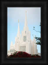 Load image into Gallery viewer, San Diego California Magenta Views
