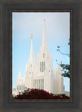 Load image into Gallery viewer, San Diego California Magenta Views
