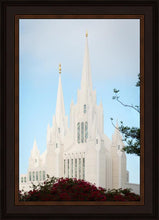 Load image into Gallery viewer, San Diego California Magenta Views
