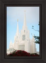 Load image into Gallery viewer, San Diego California Magenta Views
