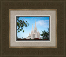 Load image into Gallery viewer, San Diego California Towering Spires
