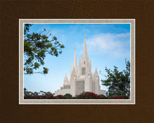Load image into Gallery viewer, San Diego California Towering Spires
