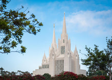 Load image into Gallery viewer, San Diego California Towering Spires
