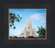 Load image into Gallery viewer, San Diego California Towering Spires
