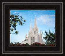 Load image into Gallery viewer, San Diego California Towering Spires
