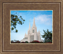 Load image into Gallery viewer, San Diego California Towering Spires
