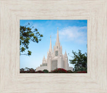 Load image into Gallery viewer, San Diego California Towering Spires
