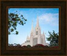 Load image into Gallery viewer, San Diego California Towering Spires
