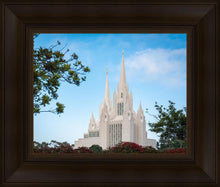 Load image into Gallery viewer, San Diego California Towering Spires
