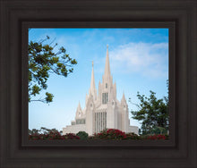 Load image into Gallery viewer, San Diego California Towering Spires
