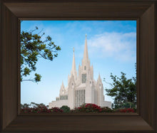 Load image into Gallery viewer, San Diego California Towering Spires
