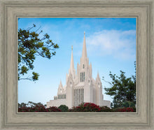 Load image into Gallery viewer, San Diego California Towering Spires
