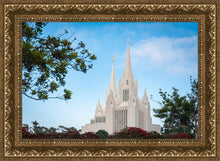 Load image into Gallery viewer, San Diego California Towering Spires

