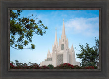Load image into Gallery viewer, San Diego California Towering Spires
