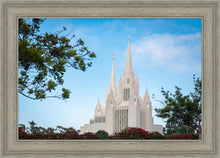 Load image into Gallery viewer, San Diego California Towering Spires
