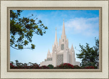 Load image into Gallery viewer, San Diego California Towering Spires
