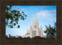 Load image into Gallery viewer, San Diego California Towering Spires
