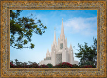 Load image into Gallery viewer, San Diego California Towering Spires
