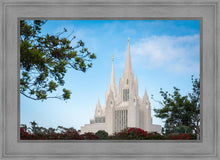 Load image into Gallery viewer, San Diego California Towering Spires
