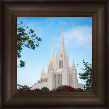 Load image into Gallery viewer, San Diego California Towering Spires
