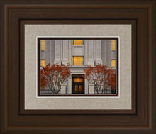 Load image into Gallery viewer, Philadelphia Holiness
