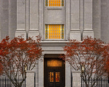 Load image into Gallery viewer, Philadelphia Holiness
