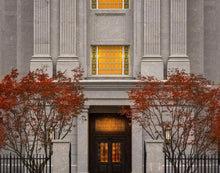 Load image into Gallery viewer, Philadelphia Holiness
