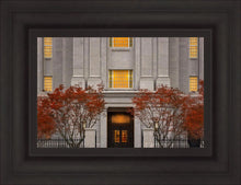 Load image into Gallery viewer, Philadelphia Holiness

