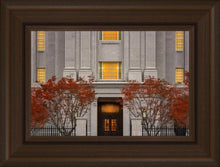 Load image into Gallery viewer, Philadelphia Holiness
