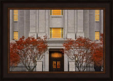 Load image into Gallery viewer, Philadelphia Holiness
