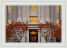Load image into Gallery viewer, Philadelphia Holiness
