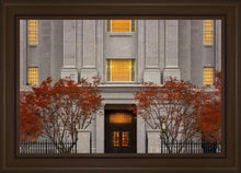 Load image into Gallery viewer, Philadelphia Holiness
