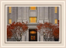 Load image into Gallery viewer, Philadelphia Holiness
