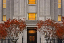 Load image into Gallery viewer, Philadelphia Holiness
