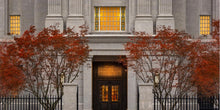 Load image into Gallery viewer, Philadelphia Holiness
