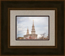 Load image into Gallery viewer, Philadelphia Freedom
