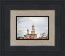 Load image into Gallery viewer, Philadelphia Freedom
