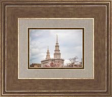 Load image into Gallery viewer, Philadelphia Freedom
