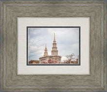 Load image into Gallery viewer, Philadelphia Freedom
